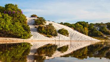 TRILHA DA LAGOA - Baixios